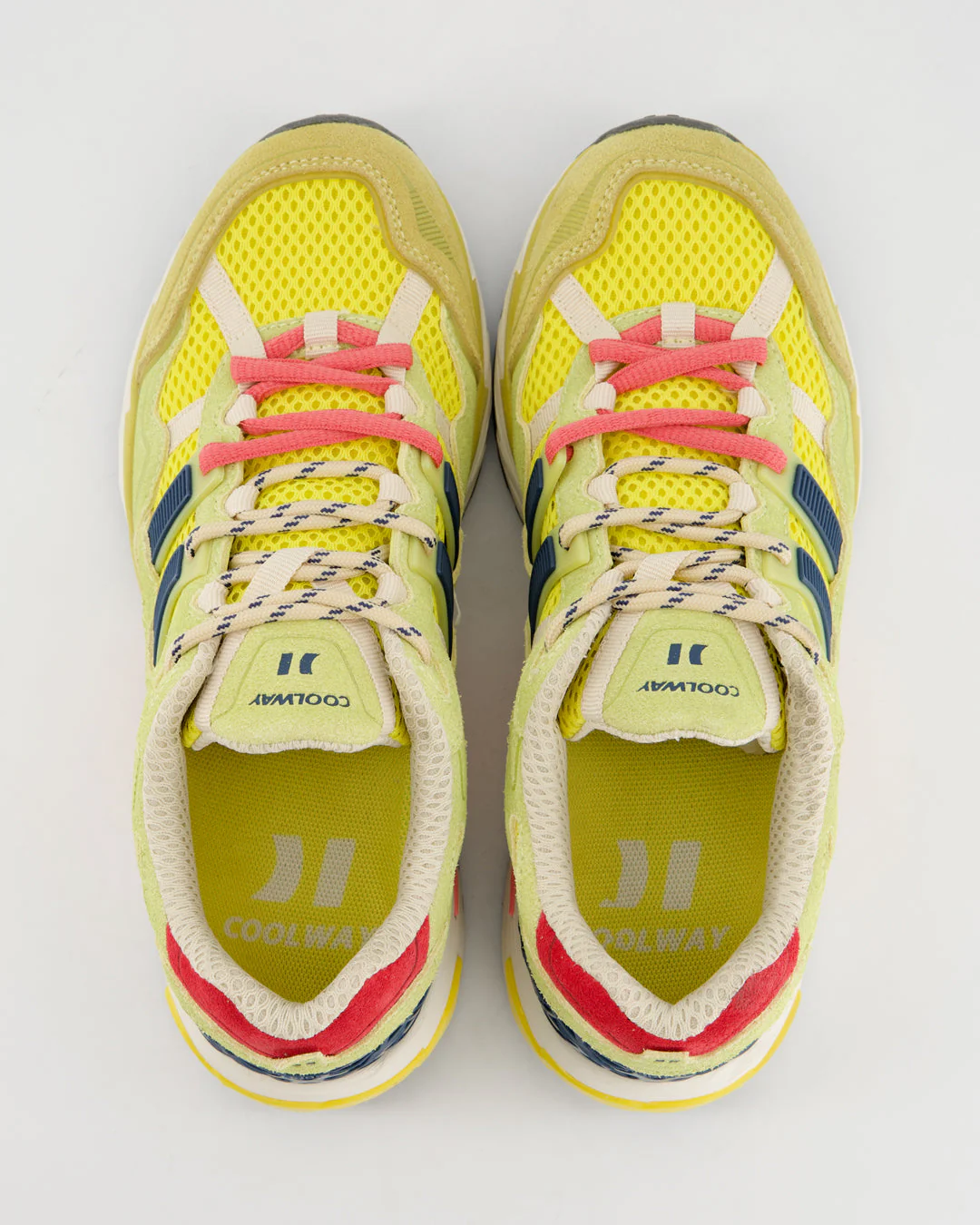 2003 Neon Pulse - Image 6